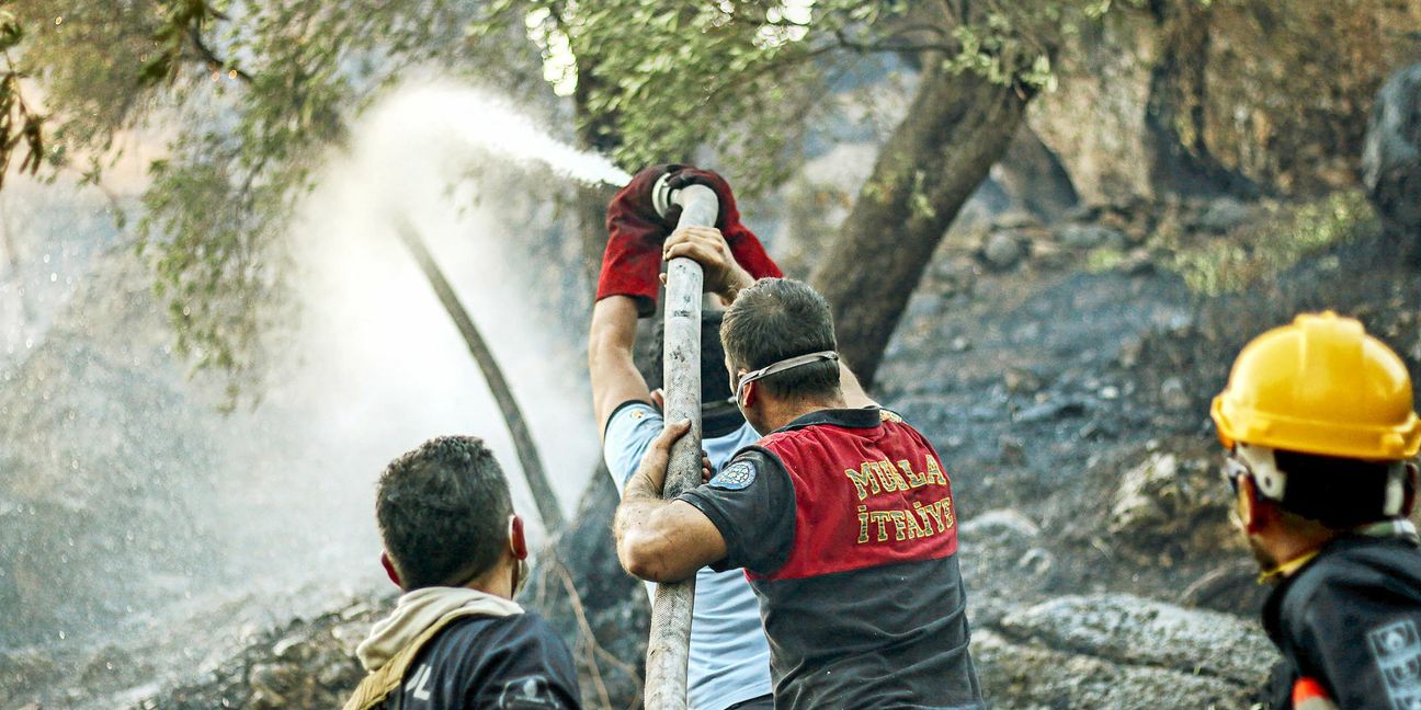 Bei Mugla an der türkischen Ägäis versuchen Feuerwehrleute brennende Bäume zu löschen.
 Foto: dpa/Hakan Akgun