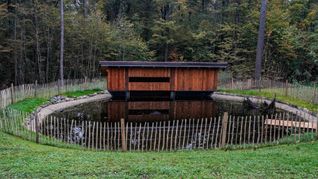 Das Teichkino beim Sindelfinger Waldzentrum sieht nur von außen geheimnisvoll aus.