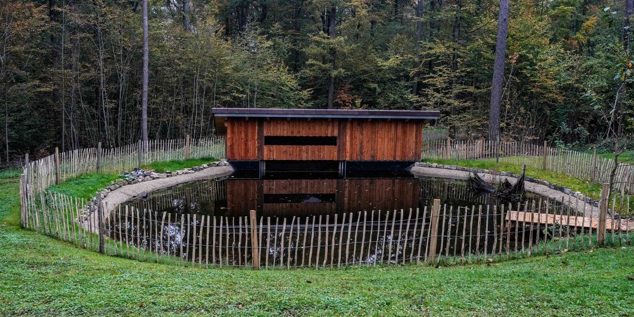 Das Teichkino beim Sindelfinger Waldzentrum sieht nur von außen geheimnisvoll aus.