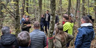 Beim Waldbegang im vergangenen Jahr besichtigten die Gemeinderäte relativ junge Waldgebiete.