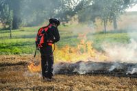 Auf einem Maichinger Acker übte die Sindelfinger Feuerwehr die Bekämpfung von Vegetationsbränden.