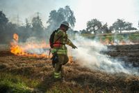 Auf einem Maichinger Acker übte die Sindelfinger Feuerwehr die Bekämpfung von Vegetationsbränden.