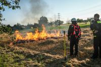 Auf einem Maichinger Acker übte die Sindelfinger Feuerwehr die Bekämpfung von Vegetationsbränden.