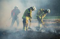 Auf einem Maichinger Acker übte die Sindelfinger Feuerwehr die Bekämpfung von Vegetationsbränden.