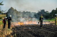 Auf einem Maichinger Acker übte die Sindelfinger Feuerwehr die Bekämpfung von Vegetationsbränden.