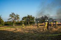 Auf einem Maichinger Acker übte die Sindelfinger Feuerwehr die Bekämpfung von Vegetationsbränden.