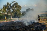 Auf einem Maichinger Acker übte die Sindelfinger Feuerwehr die Bekämpfung von Vegetationsbränden.