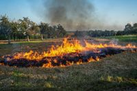 Auf einem Maichinger Acker übte die Sindelfinger Feuerwehr die Bekämpfung von Vegetationsbränden.