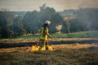 Auf einem Maichinger Acker übte die Sindelfinger Feuerwehr die Bekämpfung von Vegetationsbränden.