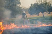 Auf einem Maichinger Acker übte die Sindelfinger Feuerwehr die Bekämpfung von Vegetationsbränden.