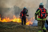 Auf einem Maichinger Acker übte die Sindelfinger Feuerwehr die Bekämpfung von Vegetationsbränden.