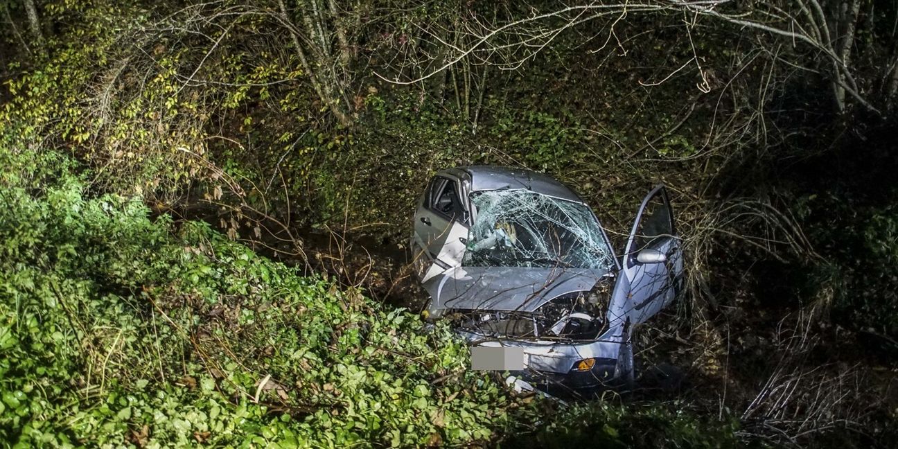 Der Fahrer konnte sich selber aus dem Fahrzeug befreien. Bild: SDMG/Dettenmeyer