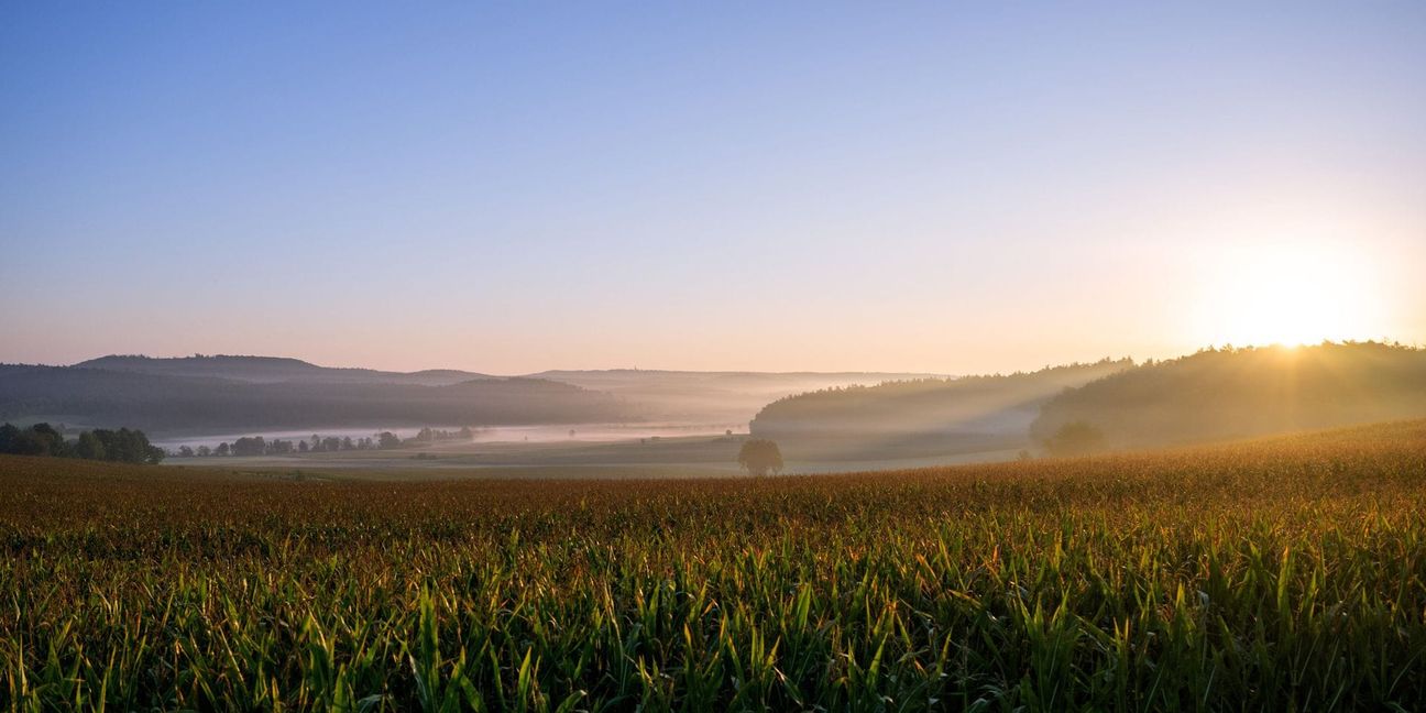 In Baden-Württemberg gibt es morgens Nebel, der dann von der Sonne abgelöst wird.