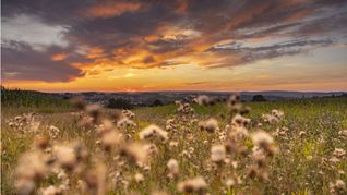 Die Höchstwerte sollen am Mittwoch (18. September) 21 bis 26 Grad Celsius im Südwesten erreichen.