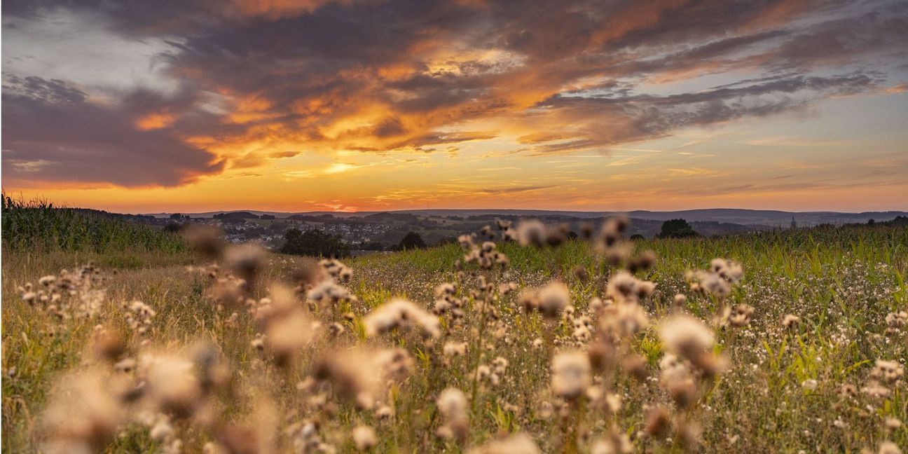 Die Höchstwerte sollen am Mittwoch (18. September) 21 bis 26 Grad Celsius im Südwesten erreichen.