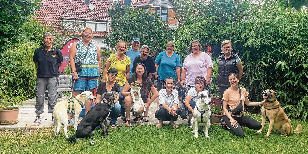 Bei regelmäßigen Treffen kommen die Vierbeiner zusammen.