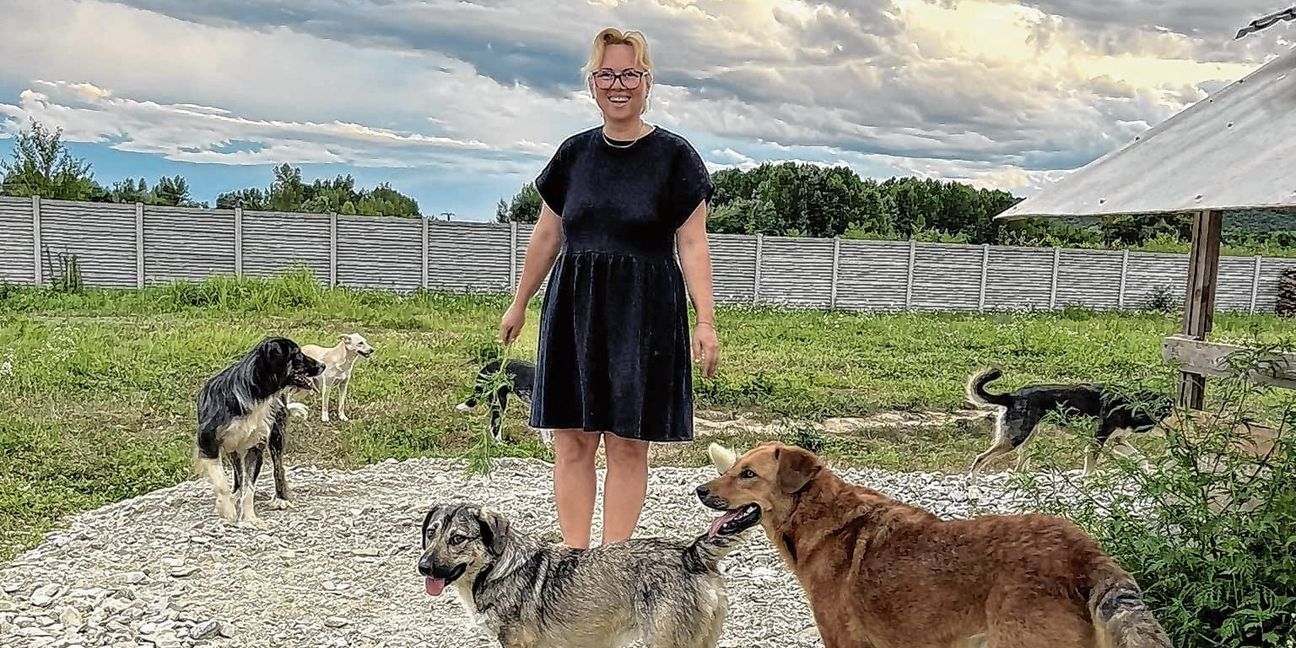 Claudia Gerea kümmert sich in einem Open Shelter um die Vierbeiner.