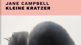 Jane Campbell: Kleine Kratzer