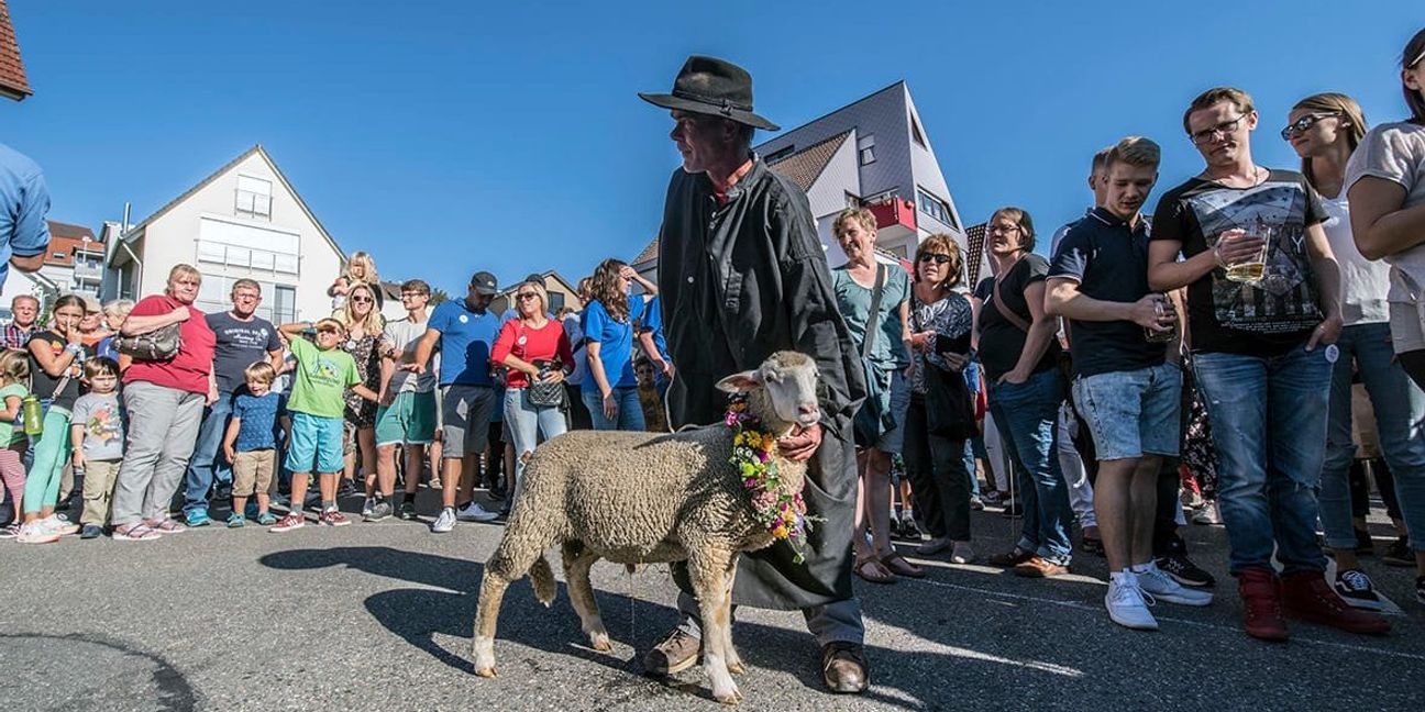 Der Heckengäutag in Aidlingen ist ein kreisweites Volksfest. Bild: Nüßle/A