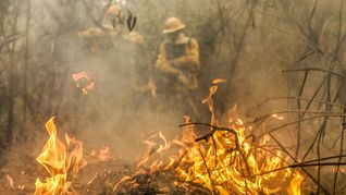 Corumbá: Feuerwehreinheiten aus Kalunga sind während eines Waldbrandes im Feuchtgebiet Pantanal im Einsatz.