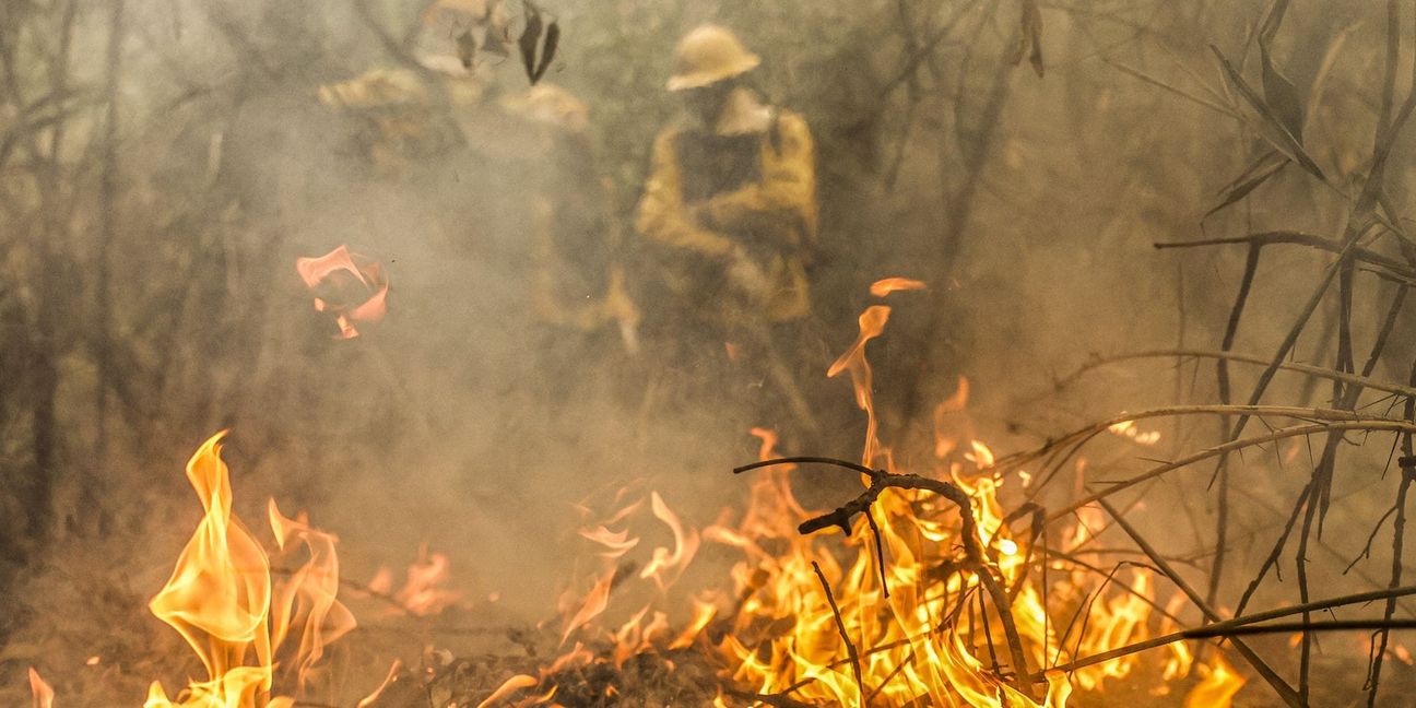 Corumbá: Feuerwehreinheiten aus Kalunga sind während eines Waldbrandes im Feuchtgebiet Pantanal im Einsatz.