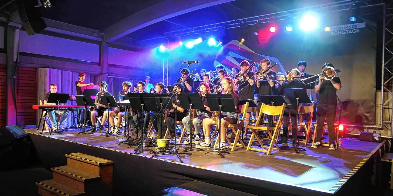 Die AEG Big Band beim Eröffnungskonzert des Böblinger Sommers am See.