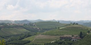 Die Hügellandschaft der Langhe mit ihren Weinbergen.