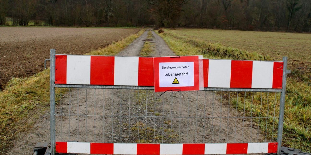 Der Tümpel im Wald bei Ölbronn ist  weiträumig abgesperrt. Foto: SDMG//Gress