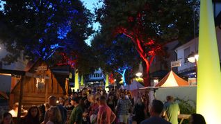 Bei Traumwetter zog es Tausende Besucher in die Sindelfinger Innenstadt. Bild: Dettenmeyer