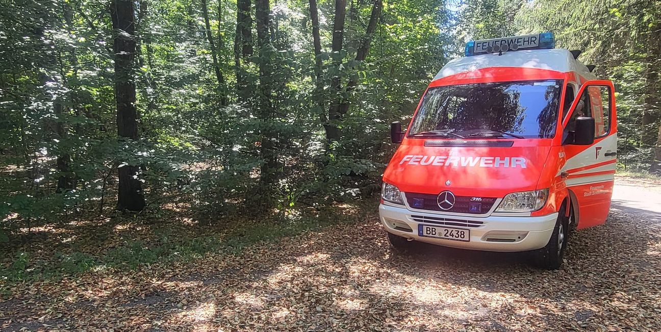 Der Waldweg ist bereits mit Laub bedeckt – mitten im Sommer wirkt der Sindelfinger Wald stellenweise wie im Herbst.