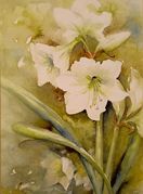 In Sig Brommers Galerie im Schaufenster in der Sindelfinger Planiestraße 13 stellt Inge Legien Aquarelle aus. Zu sehen sind ihre Blumen- und Landschaftsbilder rund um die Uhr von der Straße aus bis Ende Mai.