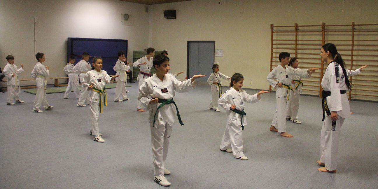 Beim Kindertrunier in Offenburg belegten die jungen Taekwondo-Kämpfer der SVB den zweiten Platz. Bild: Oberdorfer